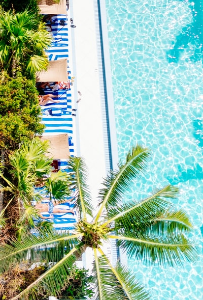 航拍的照片旁边绿色的棕榈树蓝色的游泳池在白天
